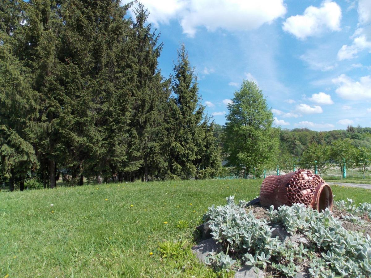 Dibrova Hotel Bila Tserkva Bagian luar foto